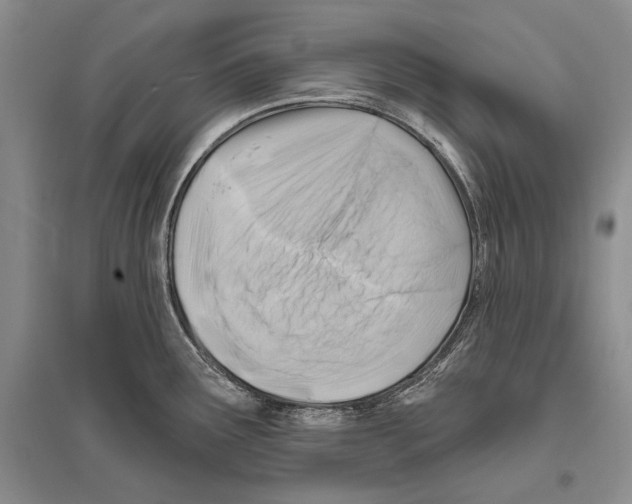 X0000096191291200802151455