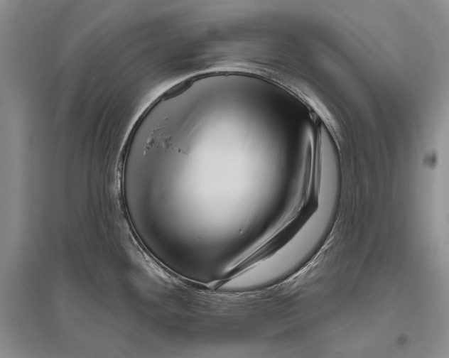 X0000096191292200802151455