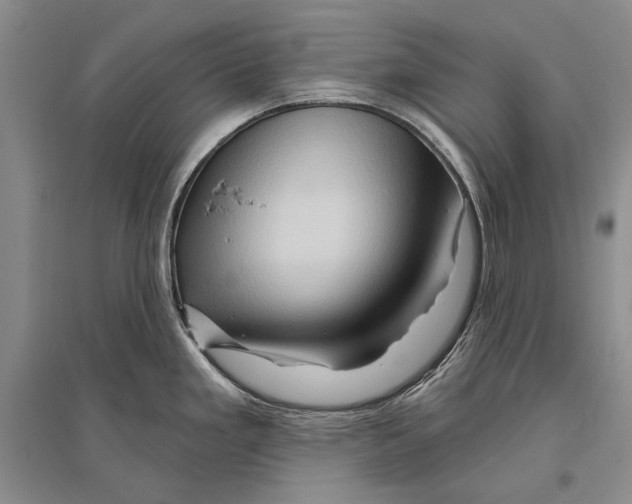 X0000096191293200802151455