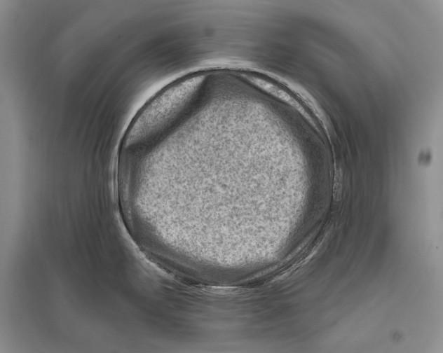 X0000096191295200802151455