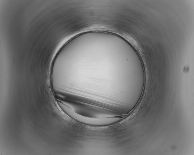 X0000096191296200802151455