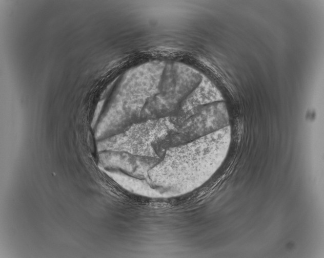 X0000096191297200802151454