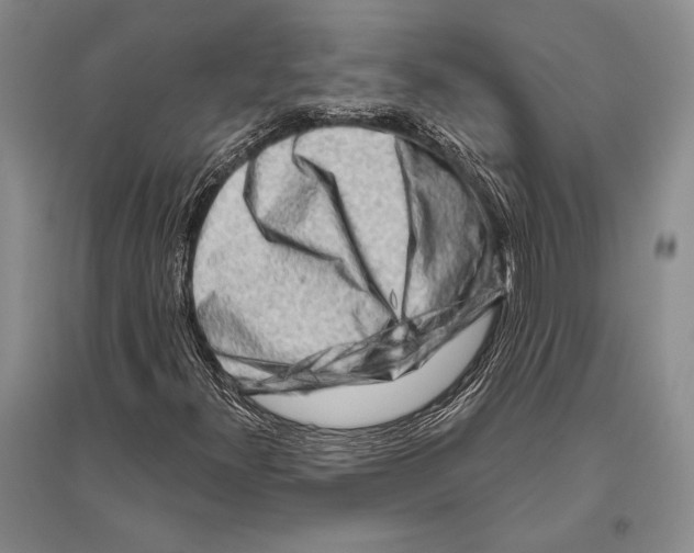 X0000096191300200802151454