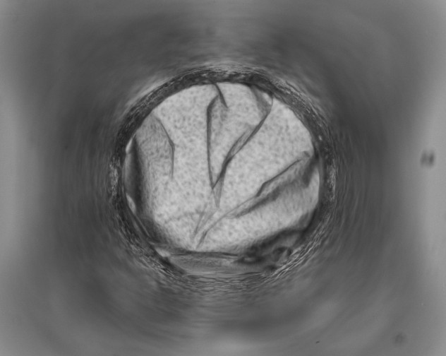 X0000096191302200802151454