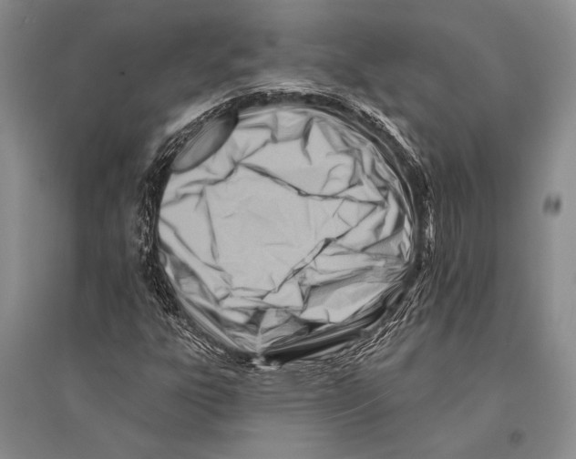 X0000096191303200802151454