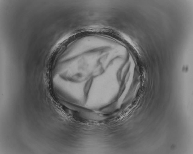 X0000096191304200802151454