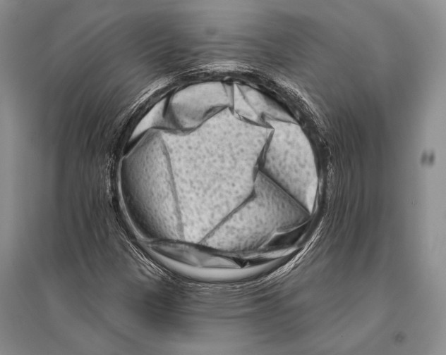 X0000096191305200802151454