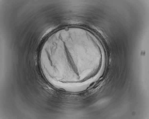 X0000096191306200802151454