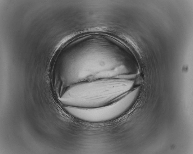 X0000096191308200802151454