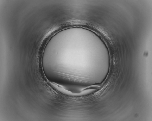 X0000096191309200802151454