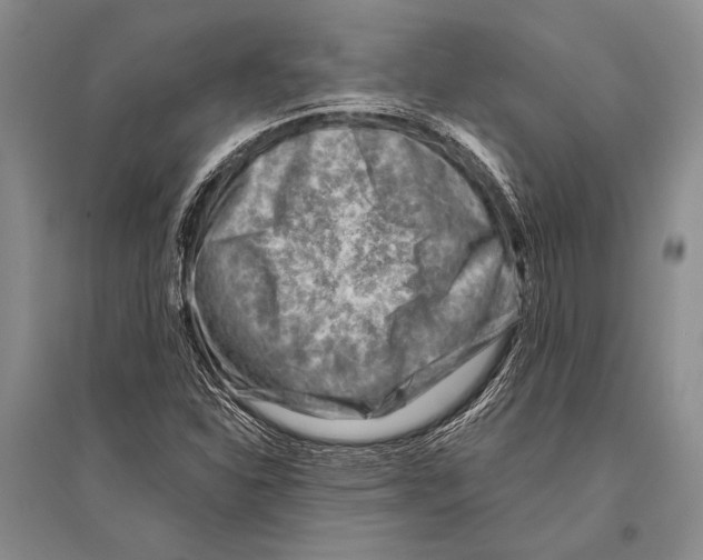 X0000096191310200802151454