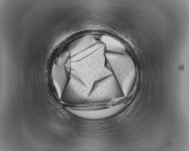 X0000096191311200802151454