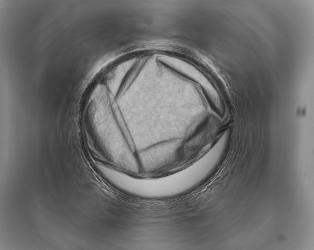 X0000096191312200802151454