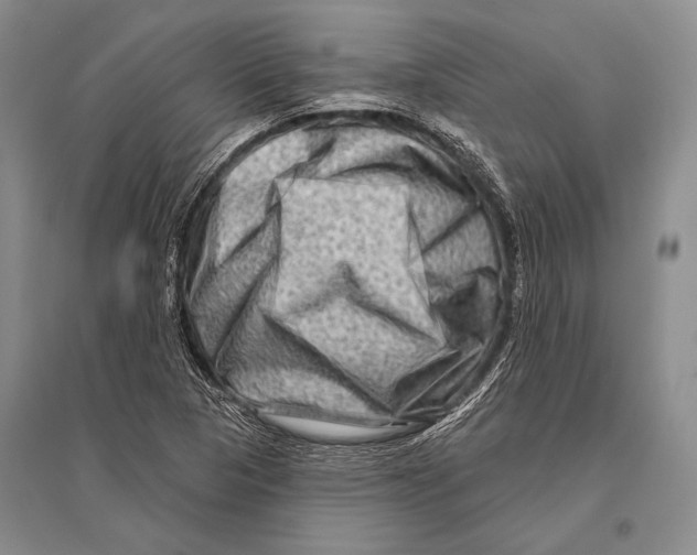 X0000096191313200802151454