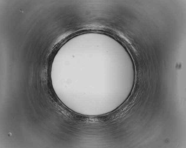 X0000096191315200802151454