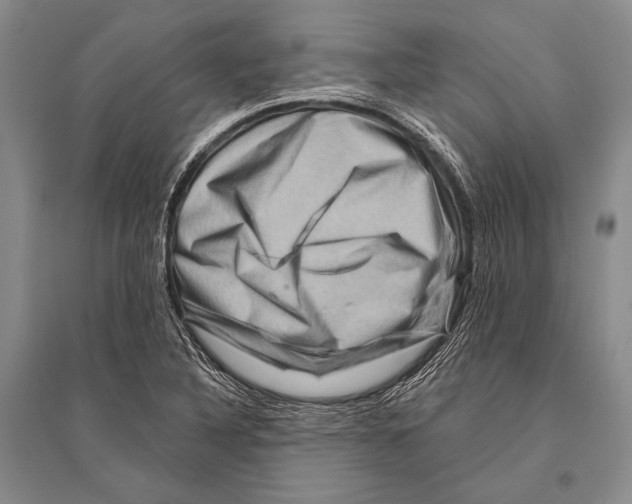 X0000096191316200802151454