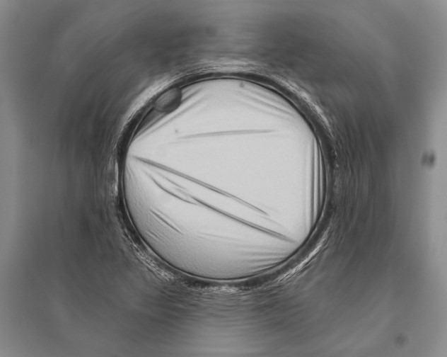 X0000096191317200802151454