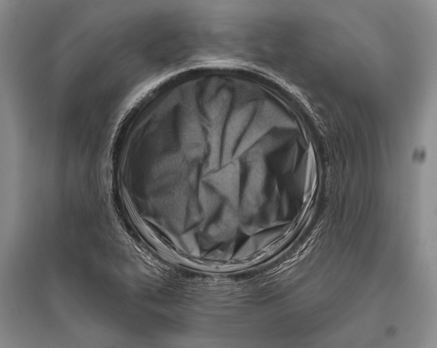 X0000096191319200802151454