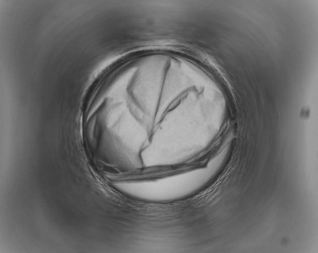 X0000096191320200802151454