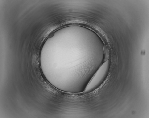 X0000096191321200802151454