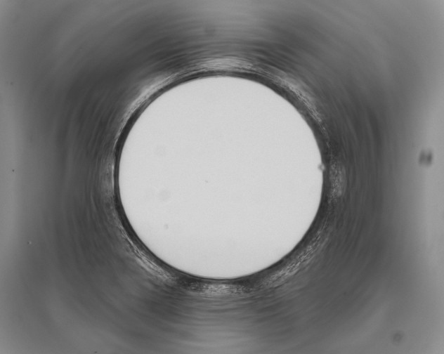 X0000096191322200802151454