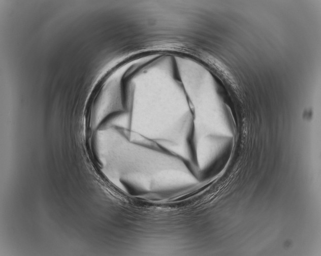 X0000096191324200802151454