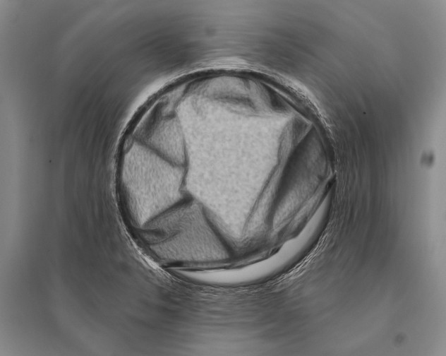 X0000096191326200802151455