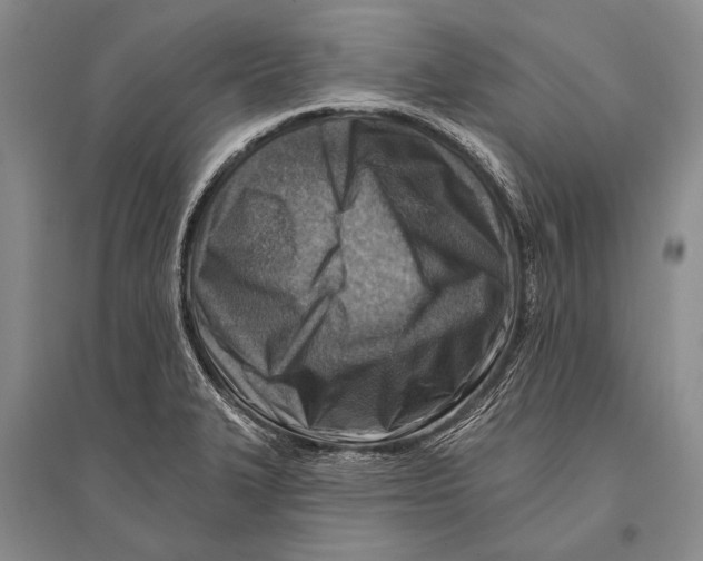 X0000096191327200802151455