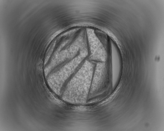 X0000096191329200802151455