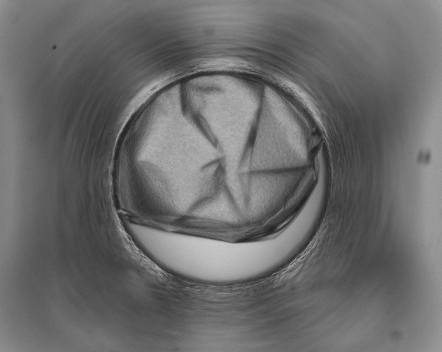 X0000096191330200802151455