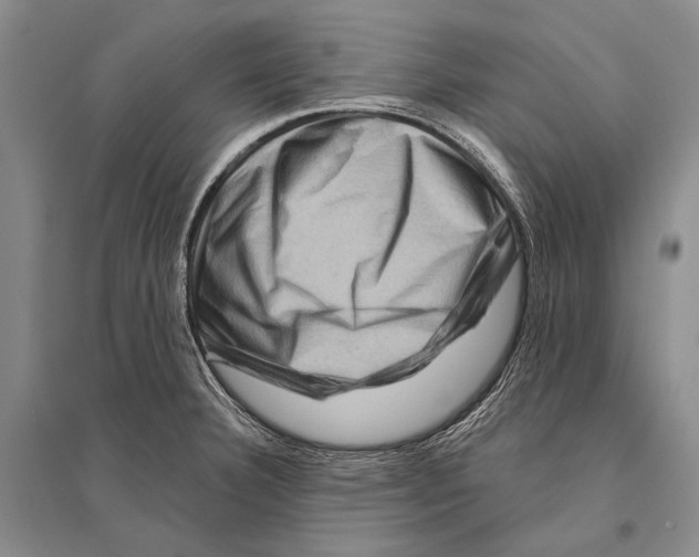 X0000096191332200802151455