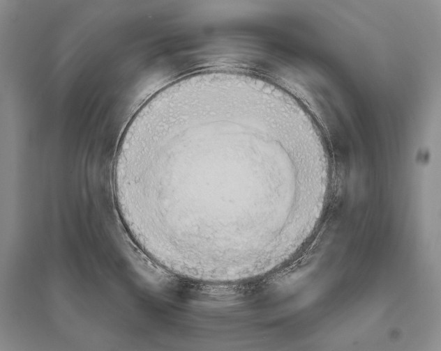 X0000096191338200802151455