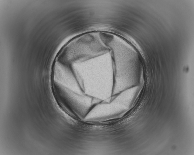 X0000096191339200802151455