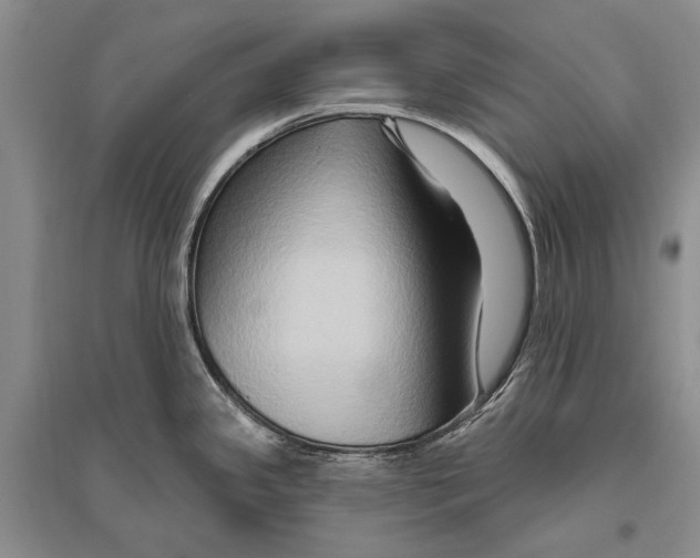 X0000096191341200802151455