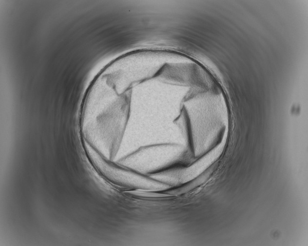 X0000096191344200802151455