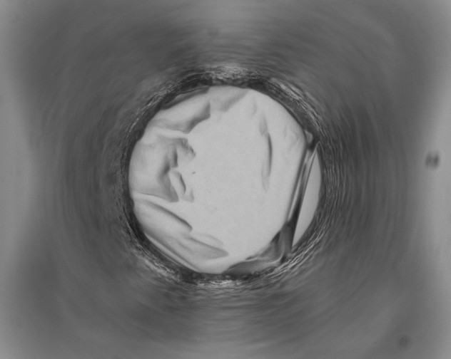 X0000096191345200802151454