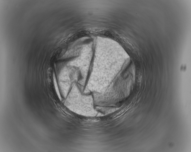 X0000096191346200802151454