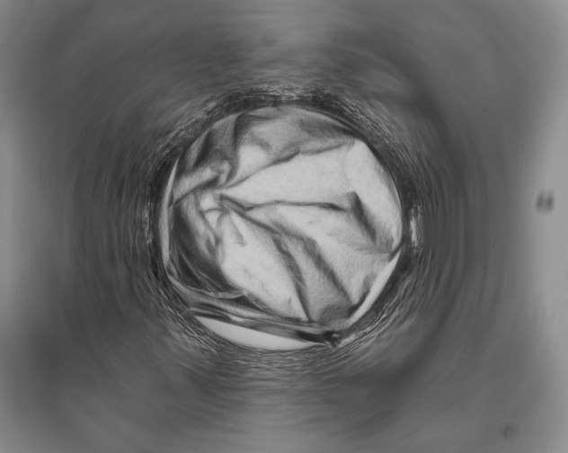 X0000096191347200802151454