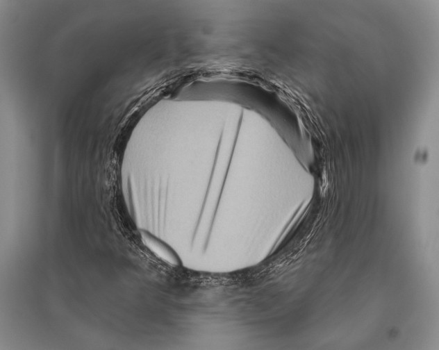 X0000096191349200802151454