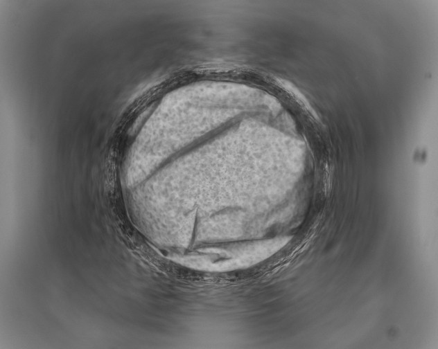 X0000096191350200802151454