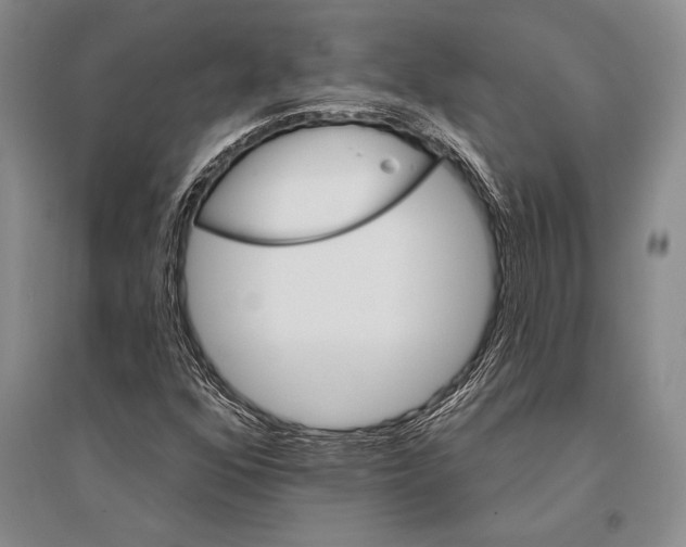 X0000096191352200802151454