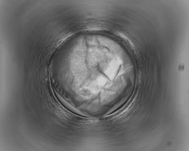 X0000096191353200802151454