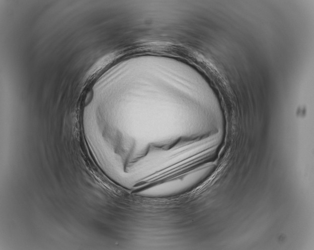 X0000096191354200802151454