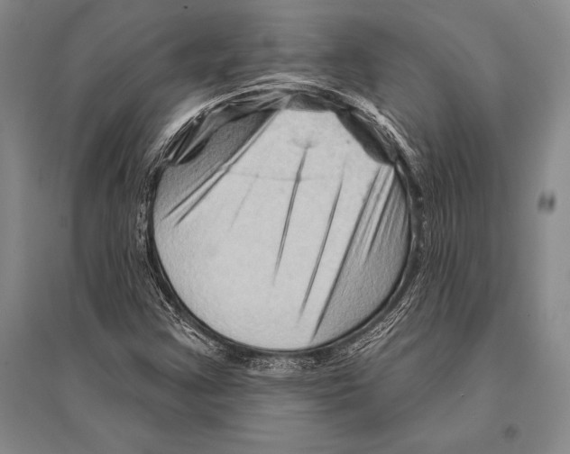 X0000096191355200802151454