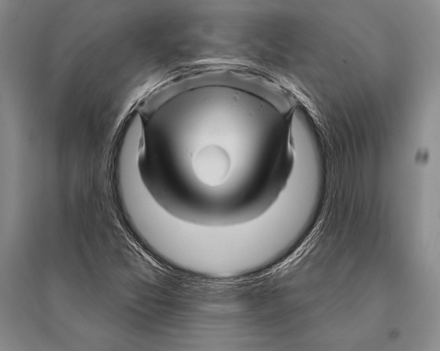 X0000096191357200802151454