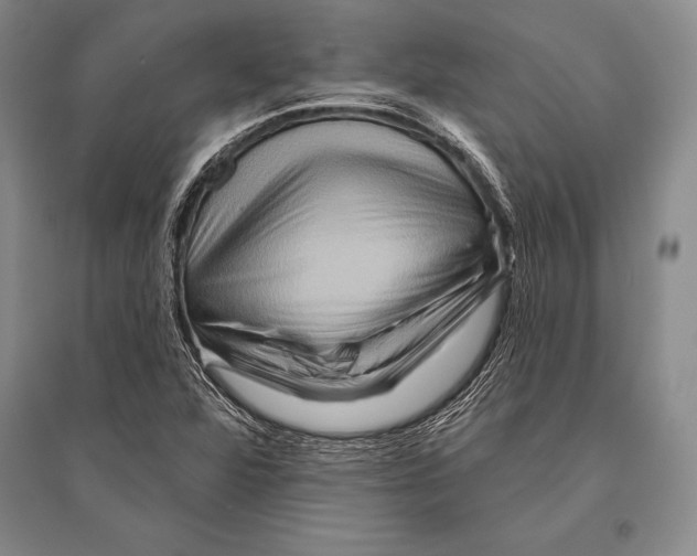 X0000096191360200802151454