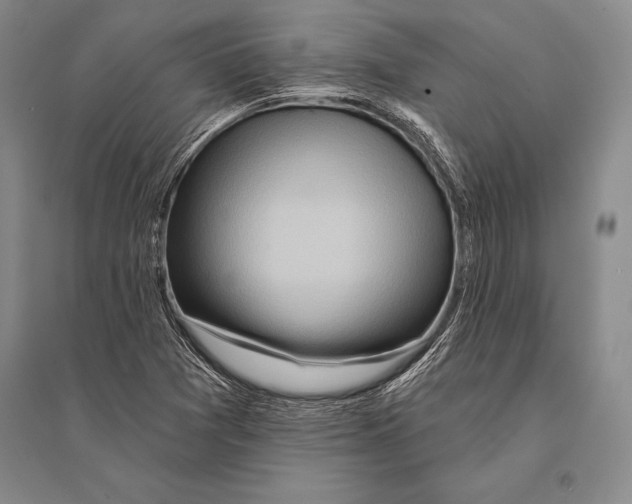 X0000096191361200802151454