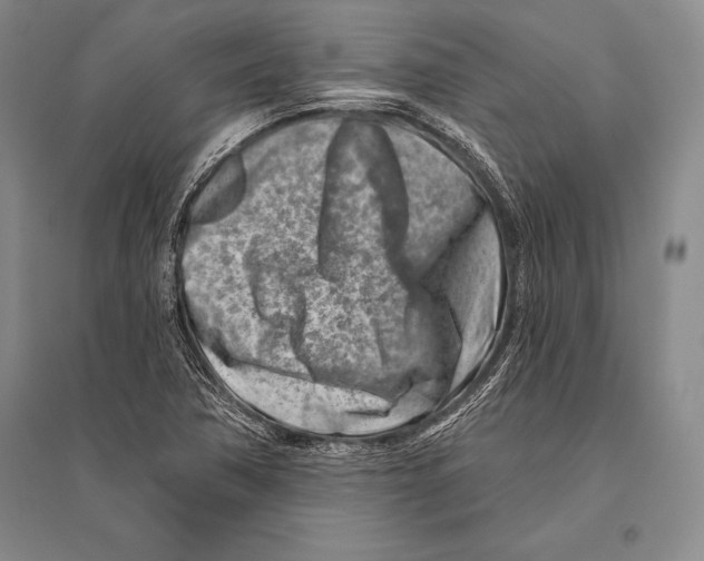 X0000096191362200802151454