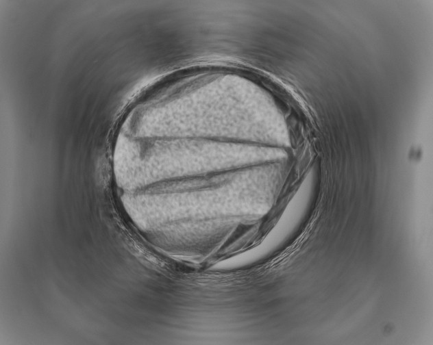 X0000096191363200802151454