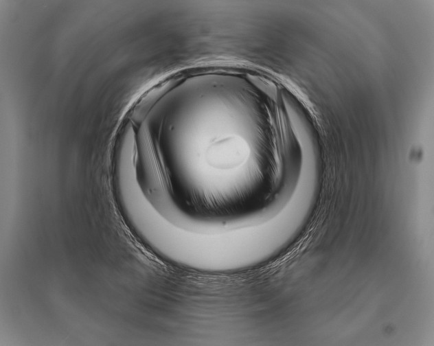 X0000096191364200802151454